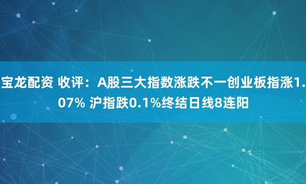宝龙配资 收评：A股三大指数涨跌不一创业板指涨1.07% 沪指跌0.1%终结日线8连阳