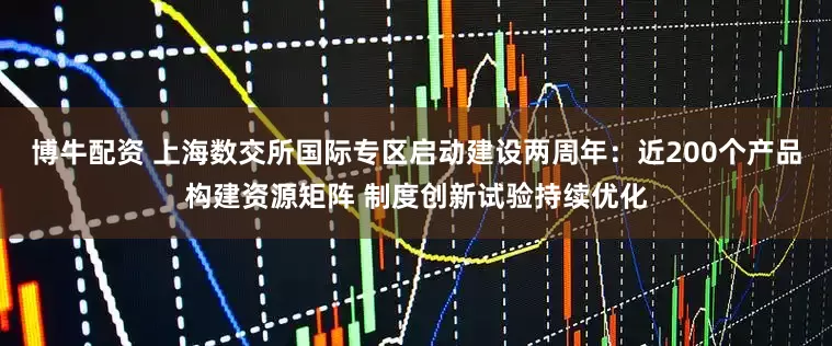 博牛配资 上海数交所国际专区启动建设两周年：近200个产品构建资源矩阵 制度创新试验持续优化