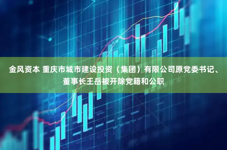 金风资本 重庆市城市建设投资（集团）有限公司原党委书记、董事长王岳被开除党籍和公职