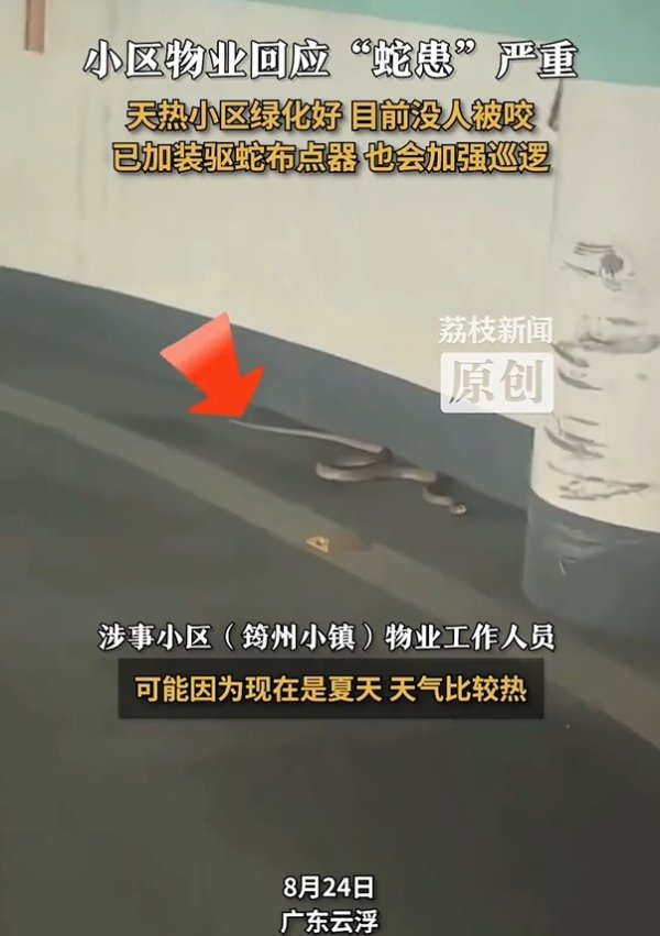 赢金配资网 广东一小区“蛇患严重”？社区回应 物业已加装驱蛇设备